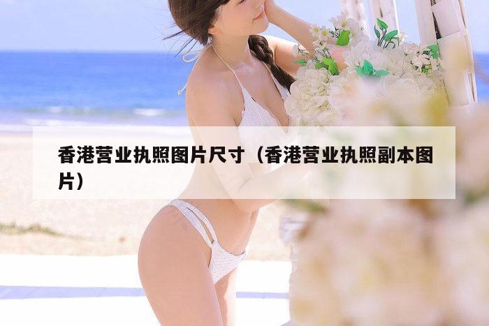 香港营业执照图片尺寸(香港营业执照副本图片)